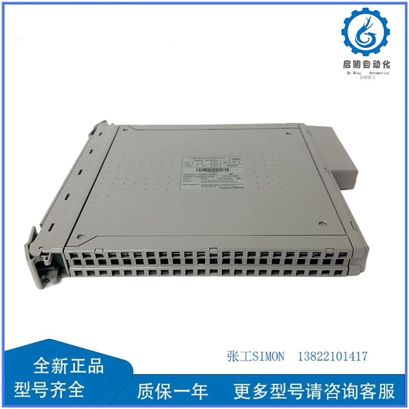 T8403 (2)_副本.jpg
