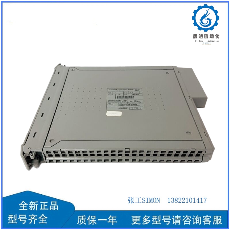 T8431 (2)_副本.jpg